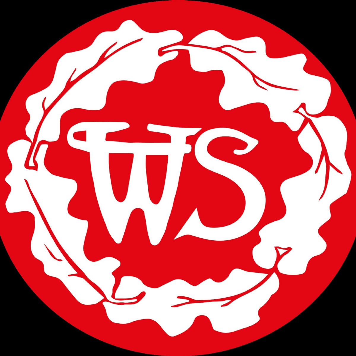 Worplesdon Primary School Football Year 6